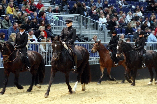 Pferd und Jagd 2008  072.jpg